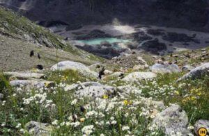  Pin Parvati Pass Trek