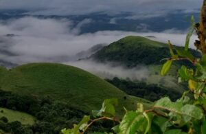 Coorg