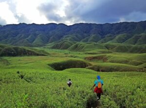 Dzukou Valley, Nagaland