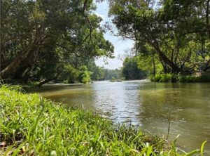 Kuruvadweep Island, Kerala