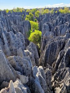 Tsingy de Bemaraha National Park