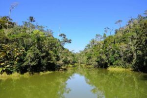  Andasibe-Mantadia National Park