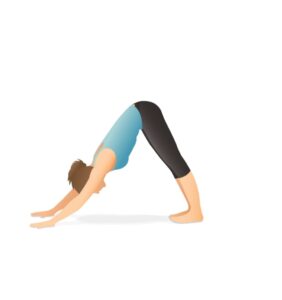 Downward Facing Dog 