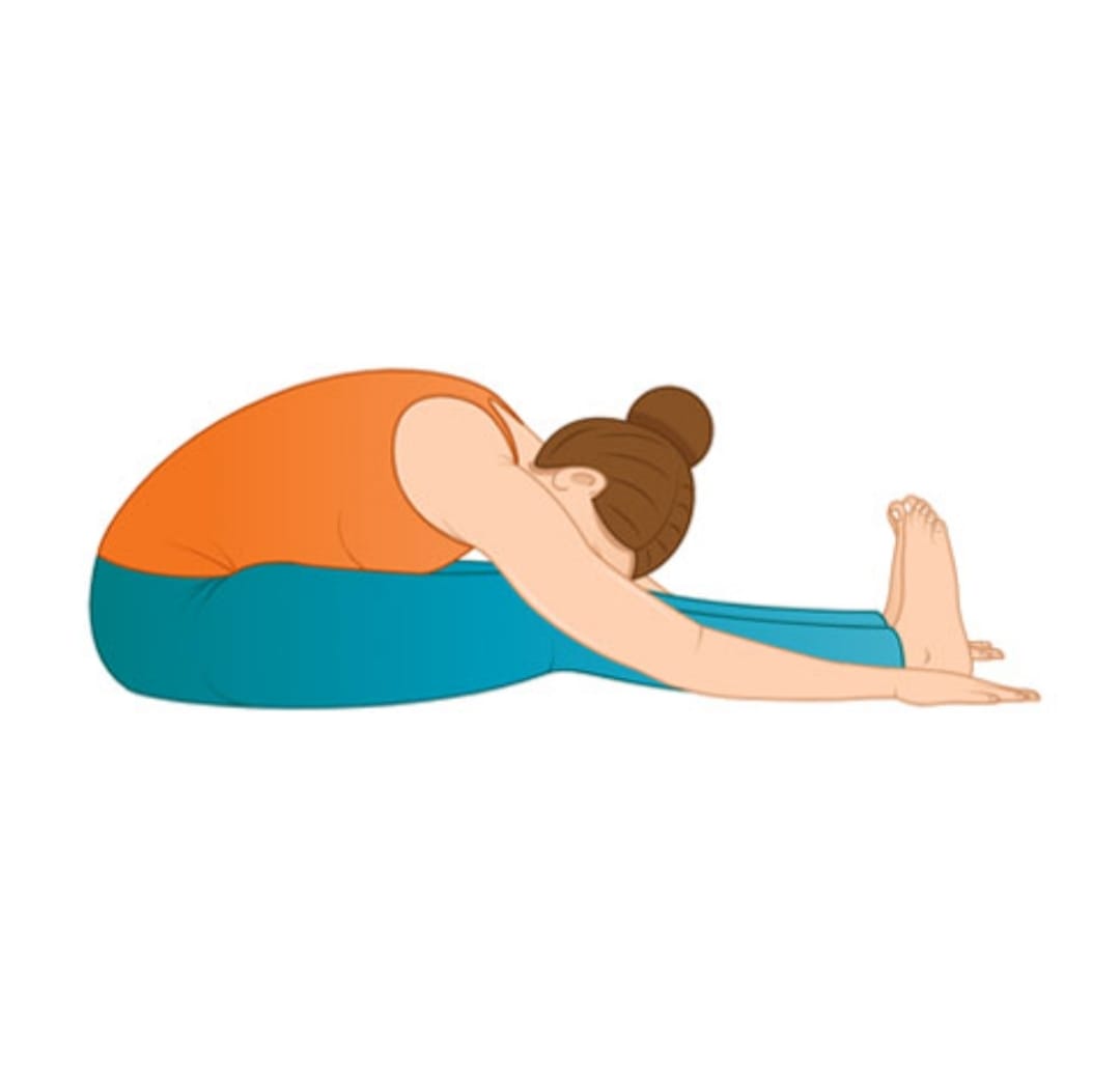 Seated Forward Bend 