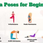 Yoga for Beginners